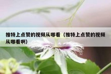 推特上点赞的视频从哪看（推特上点赞的视频从哪看啊）