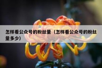 怎样看公众号的粉丝量（怎样看公众号的粉丝量多少）