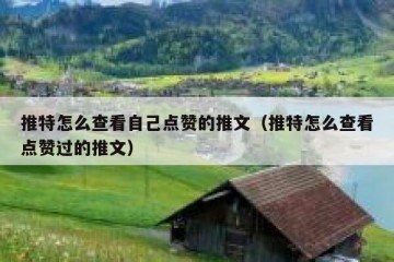推特怎么查看自己点赞的推文（推特怎么查看点赞过的推文）