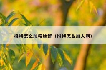 推特怎么加粉丝群（推特怎么加人啊）