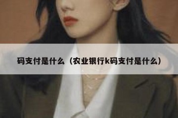 码支付是什么（农业银行k码支付是什么）