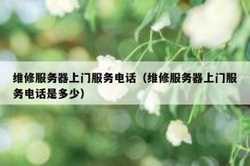 维修服务器上门服务电话（维修服务器上门服务电话是多少）