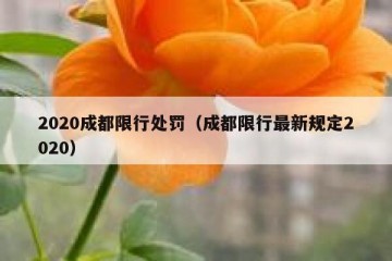 2020成都限行处罚（成都限行最新规定2020）