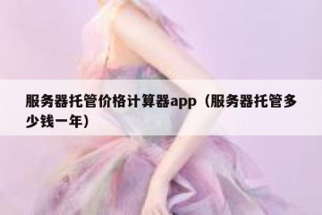 服务器托管价格计算器app（服务器托管多少钱一年）