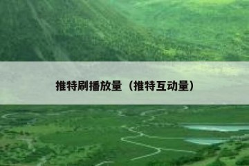 推特刷播放量（推特互动量）