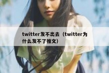 twitter发不出去（twitter为什么发不了推文）