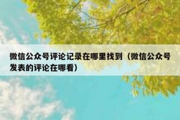 微信公众号评论记录在哪里找到（微信公众号发表的评论在哪看）