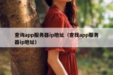 查询app服务器ip地址（查找app服务器ip地址）
