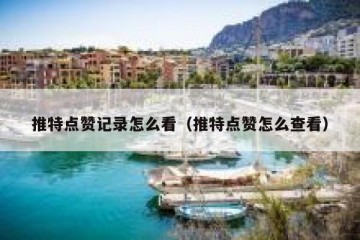推特点赞记录怎么看（推特点赞怎么查看）