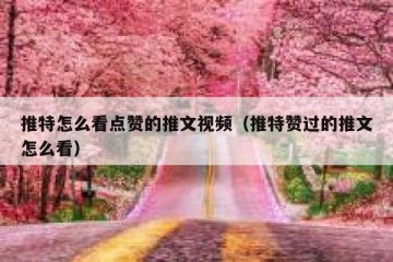 推特怎么看点赞的推文视频（推特赞过的推文怎么看）