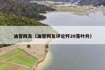 油管网友（油管网友评论歼20落叶升）