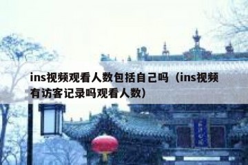 ins视频观看人数包括自己吗（ins视频有访客记录吗观看人数）