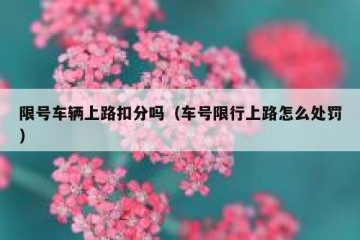 限号车辆上路扣分吗（车号限行上路怎么处罚）