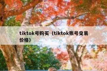 tiktok号购买（tiktok账号交易价格）