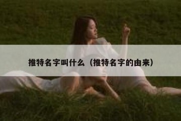 推特名字叫什么（推特名字的由来）