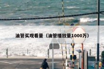 油管买观看量（油管播放量1000万）