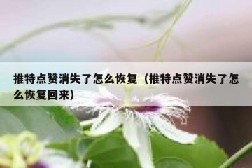 推特点赞消失了怎么恢复（推特点赞消失了怎么恢复回来）