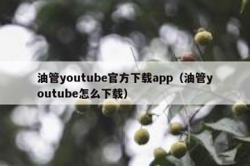 油管youtube官方下载app（油管youtube怎么下载）