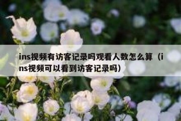 ins视频有访客记录吗观看人数怎么算（ins视频可以看到访客记录吗）