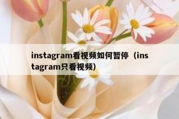 instagram看视频如何暂停（instagram只看视频）