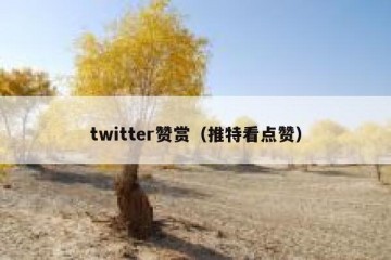 twitter赞赏（推特看点赞）
