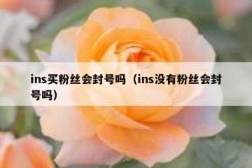 ins买粉丝会封号吗（ins没有粉丝会封号吗）