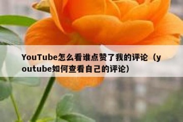 YouTube怎么看谁点赞了我的评论（youtube如何查看自己的评论）