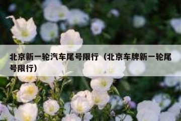 北京新一轮汽车尾号限行（北京车牌新一轮尾号限行）