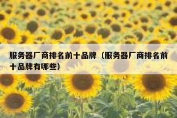 服务器厂商排名前十品牌（服务器厂商排名前十品牌有哪些）