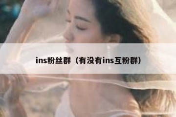ins粉丝群（有没有ins互粉群）