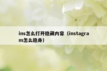 ins怎么打开隐藏内容（instagram怎么隐身）