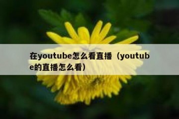 在youtube怎么看直播（youtube的直播怎么看）