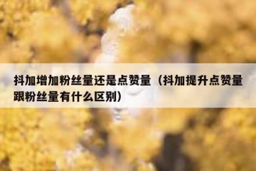 抖加增加粉丝量还是点赞量（抖加提升点赞量跟粉丝量有什么区别）