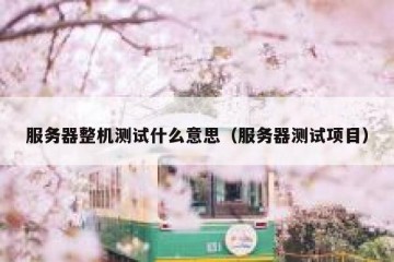 服务器整机测试什么意思（服务器测试项目）