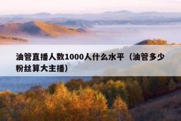 油管直播人数1000人什么水平（油管多少粉丝算大主播）