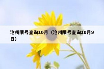 沧州限号查询10月（沧州限号查询10月9日）