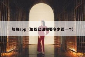 加粉app（加粉丝团需要多少钱一个）
