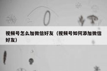 视频号怎么加微信好友（视频号如何添加微信好友）