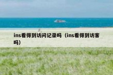 ins看得到访问记录吗（ins看得到访客吗）