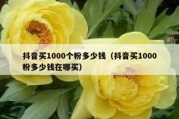 抖音买1000个粉多少钱（抖音买1000粉多少钱在哪买）