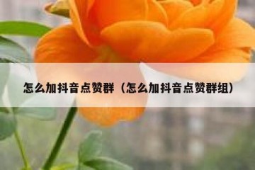 怎么加抖音点赞群（怎么加抖音点赞群组）