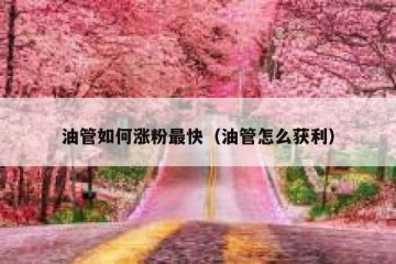 油管如何涨粉最快（油管怎么获利）