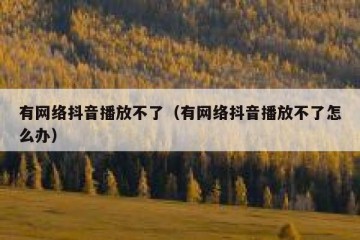 有网络抖音播放不了（有网络抖音播放不了怎么办）