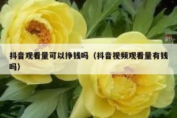 抖音观看量可以挣钱吗（抖音视频观看量有钱吗）