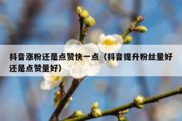 抖音涨粉还是点赞快一点（抖音提升粉丝量好还是点赞量好）