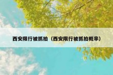 西安限行被抓拍（西安限行被抓拍概率）