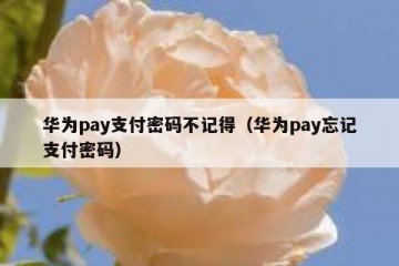 华为pay支付密码不记得（华为pay忘记支付密码）