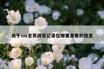 关于ins主页浏览记录在哪里查看的信息