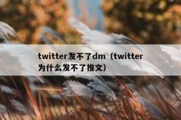 twitter发不了dm（twitter为什么发不了推文）