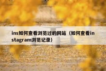 ins如何查看浏览过的网站（如何查看instagram浏览记录）